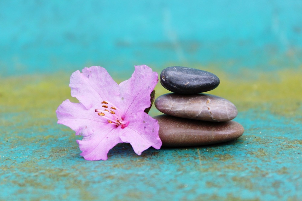 Wellness Zen Steine Bluete Entspannung